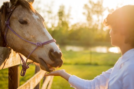 LindseyEaster2014-27